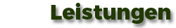Leistungen